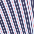 Americana vertical stripe