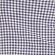 Navy gingham
